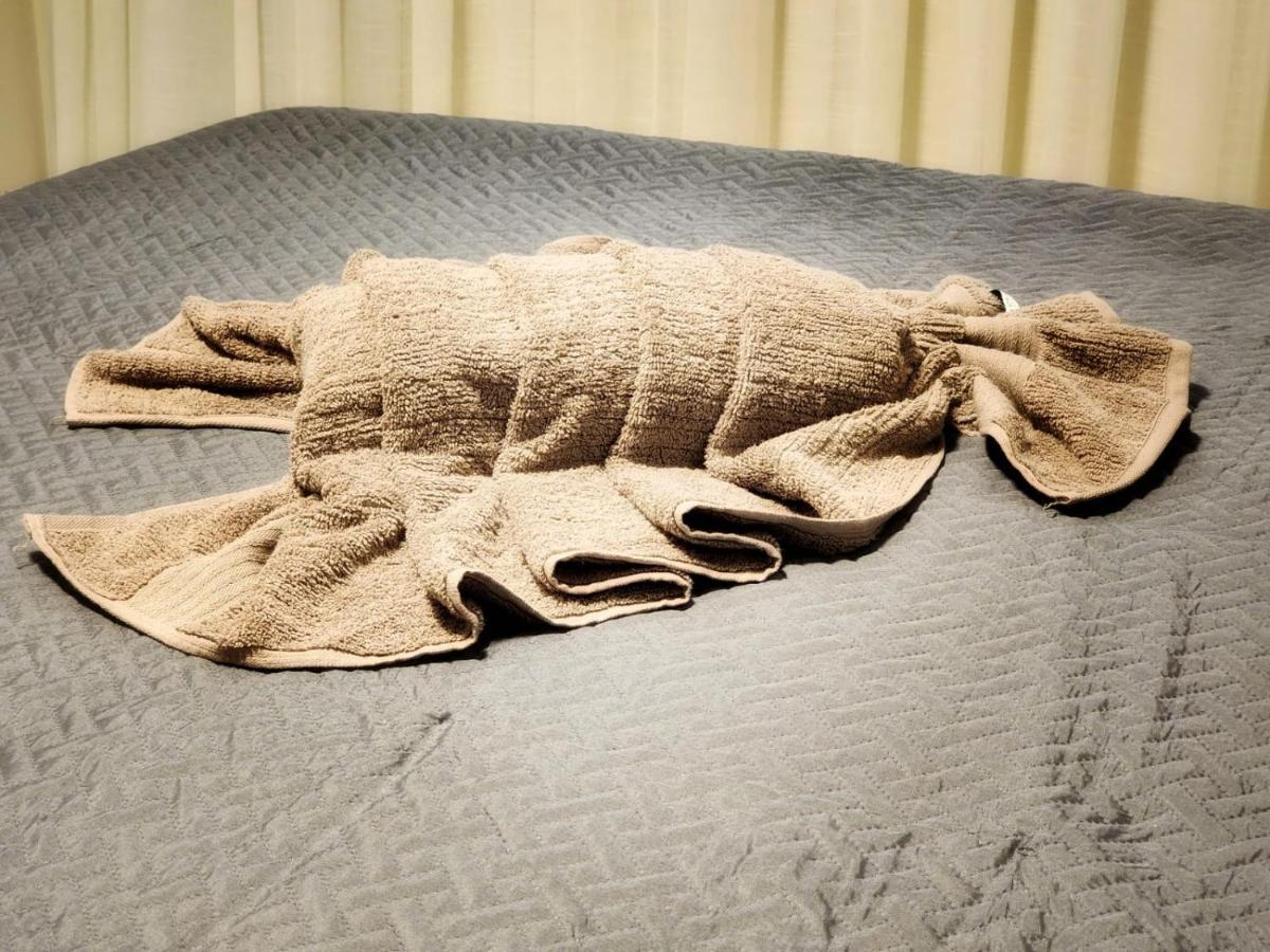 Sonho De Pe Na Areia Apartamento Pôrto das Galinhas